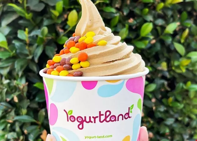 $10 For $20 Worth Of Frozen Yogurt