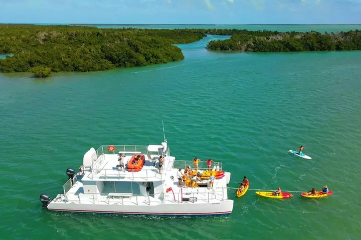 Key West Sandbar Charter With Kayak Tour: Includes Lunch & Drinks
