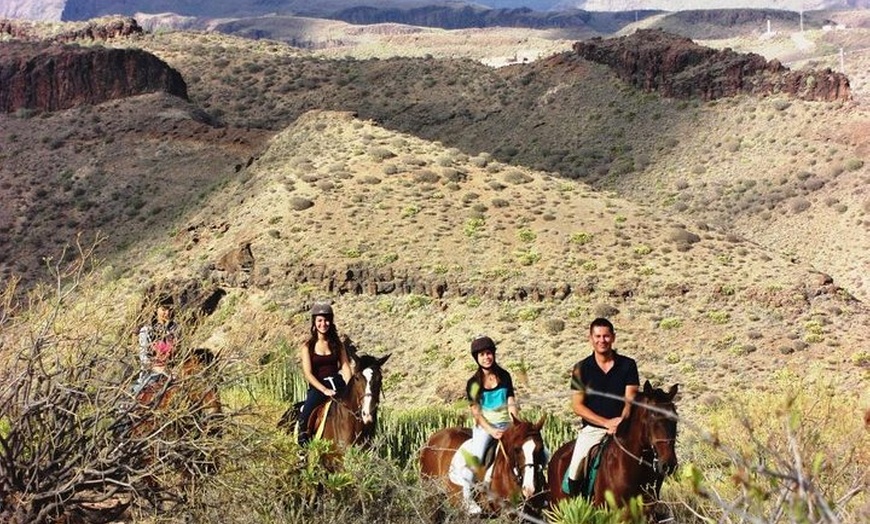 Image 4: La mejor experiencia de equitación en Gran Canaria (2 horas)
