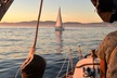 Bring Your Own Beverages One Hour Harbor Cruise - Second Medium