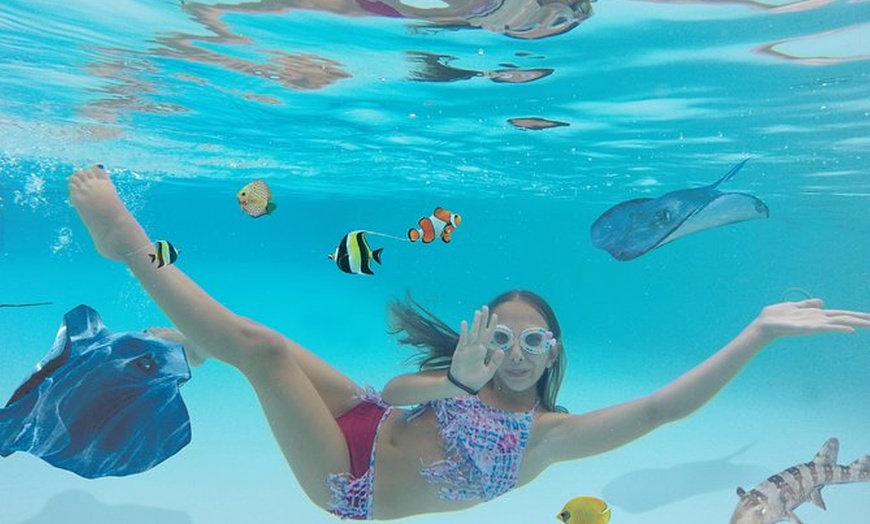 Long Island Aquarium Long Island Aquarium Groupon