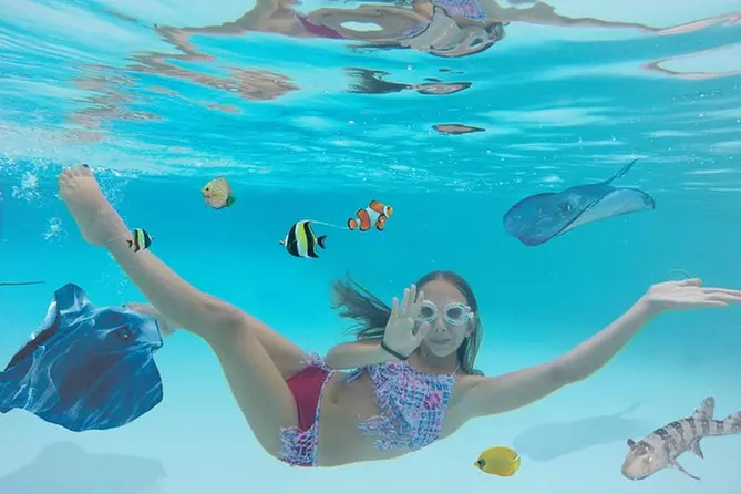 Long Island Aquarium Admission PLUS Pirate Snorkel Adventure - Primary Image
