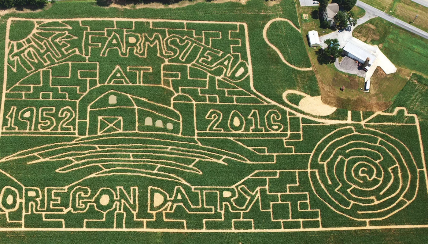 $10 For 2 Adult Regular or Flashlight Corn Maze Tickets (Reg. $20) - Primary Image