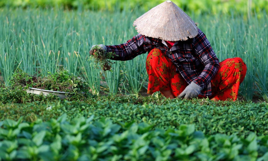 Image 11: ✈ VIETNAM | De Hanoi à Ho Chi Minh - Le meilleur du Vietnam avec ex...