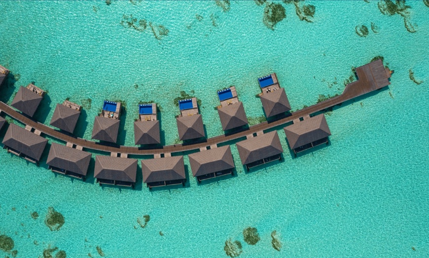 Image 26: ✈ MALDIVES | Malé - Cocoon Maldives 5* - All-inclusive