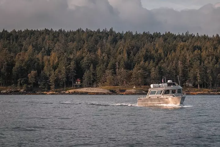 Nanaimo Whale Watching in a Semi-Covered Boat - Primary Image