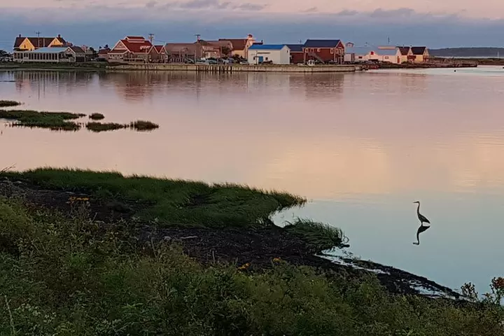 Scenic tours of Prince Edward Island - Second Medium