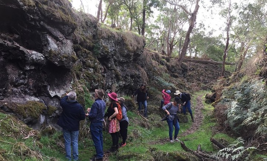 Image 1: Mount Eccles Volcano – Budj Bim National Park