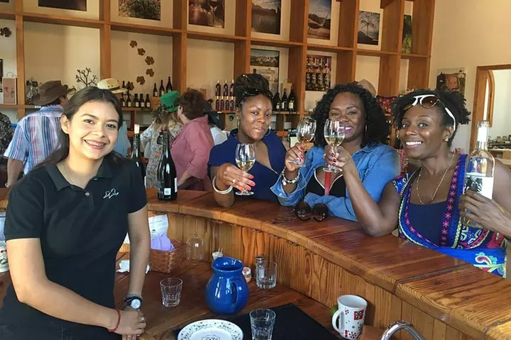 Luxury Private Wine Tasting Tour to Guadalupe Valley from San Diego