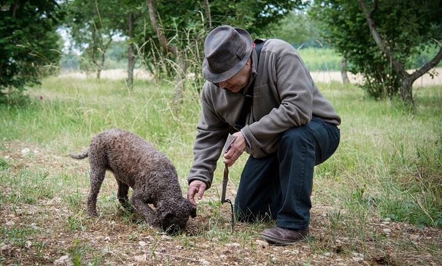 Image 1: Démonstration de Cavage des Truffes