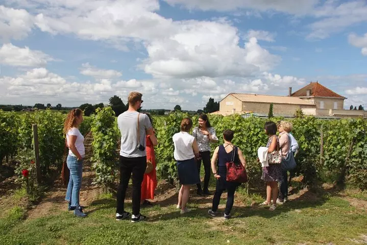 Visite des vins de Saint-Emilion l'après-midi - 2 vignobles et délices - Primary Image