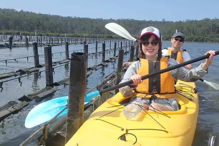 Batemans Bay Oyster Tasting Kayak Tour - Primary Image
