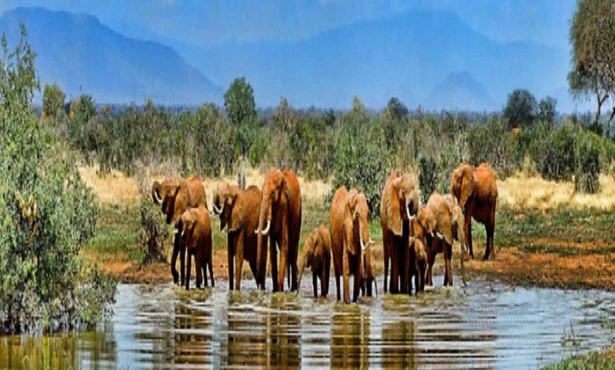 Image 9: ✈ AFRIQUE DU SUD | De Cap Town à Johannesburg - Acacia Afrique du S...