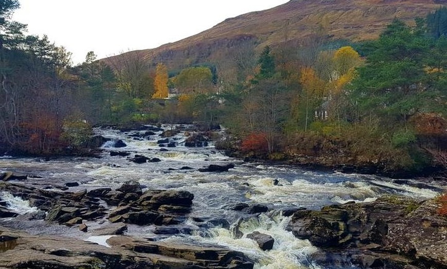 Image 5: Loch Lomond & The Highlands Private Day Tour with Scottish Local