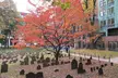 Dark Side of Boston 90 Minute Private Tour - Second Medium