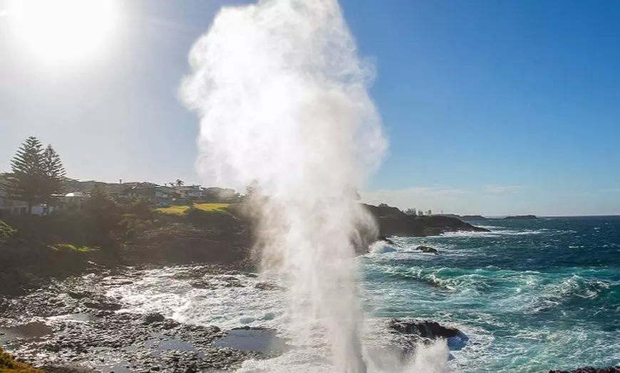 Image 13: Jervis Bay Private Tour - Pick up & Drop off