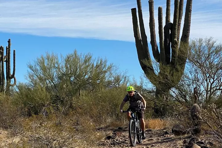 3 Hour Sonoran Desert Private Guided Mountain Bike Tour