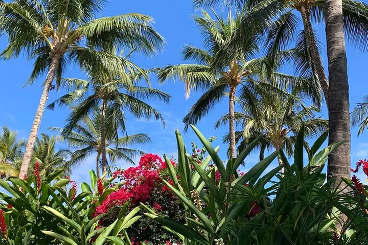 North Shore Highlight Tour - Primary Image