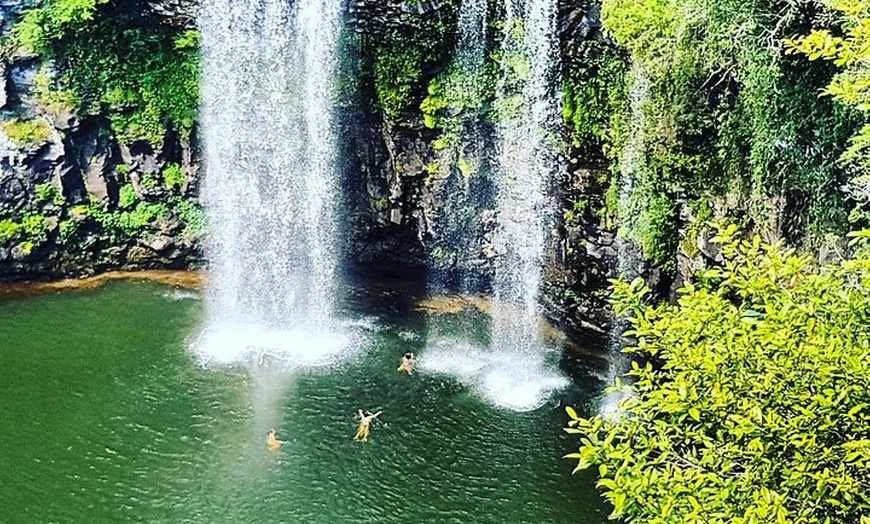 Image 8: Rainforest & Waterfall Experience