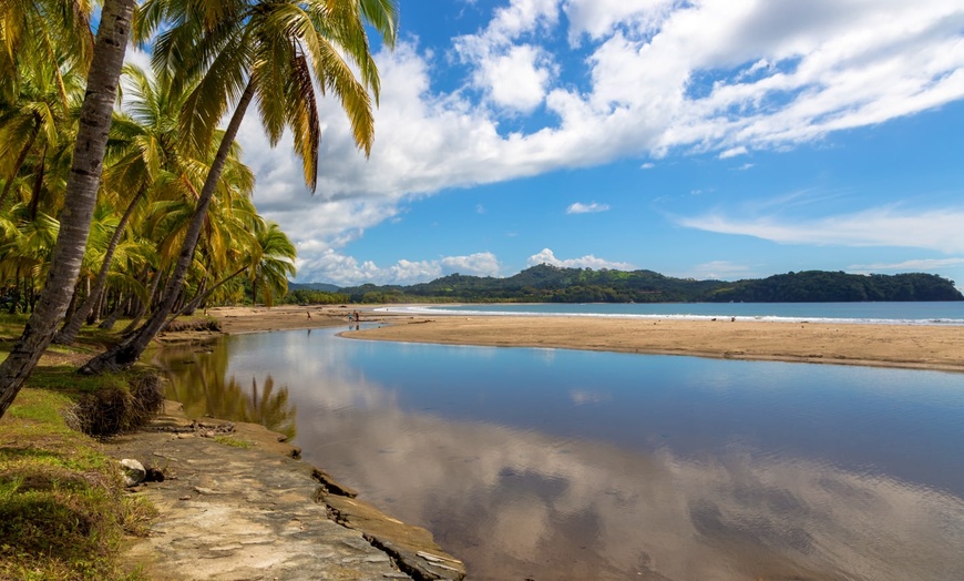 Image 12: ✈ COSTA RICA | De San José à Manuel Antonio - Entre Jungle, Plage E...