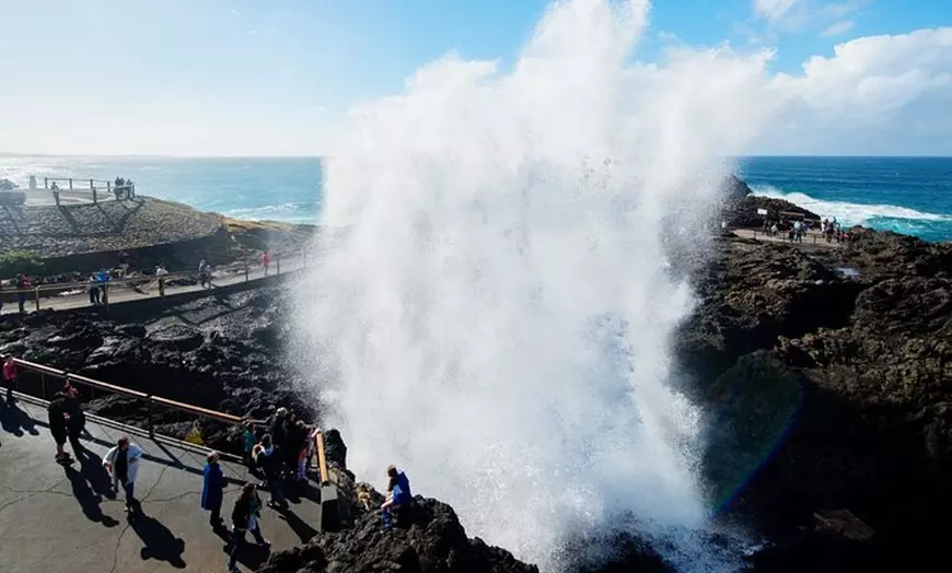 Image 8: Jervis Bay Private Tour - Pick up & Drop off