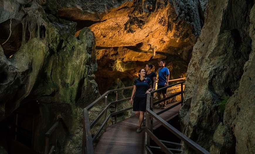 Image 4: Capricorn Caves Cathedral Cave Tour