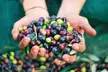 Private Tour: Arizona Foodie Trail - Second Medium