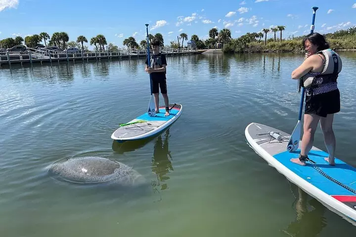 Wildlife Refuge Manatee, Dolphin & Mangrove Kayak or Paddleboarding...