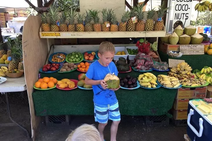 Full Day Oahu Circle Island -Turtle Beach Snorkel at North Shore