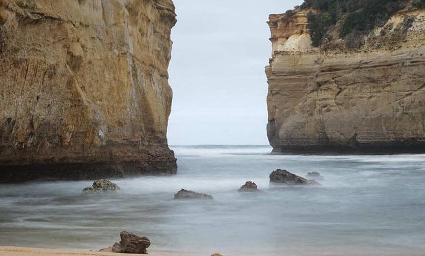 Image 2: Great Ocean Road 12 Apostles kangaroo & koala tour