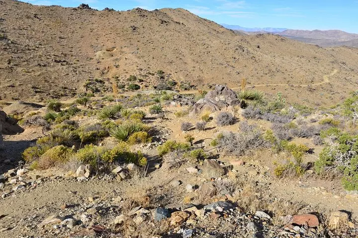 Joshua Tree National Park Self-Guided Driving Audio Tour
