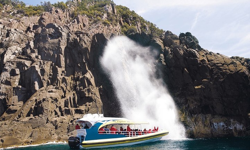 Image 4: 3-Hour Bruny Island Cruise from Adventure Bay, Bruny Island