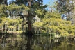 Whitney Plantation and Manchac Swamp Kayak Tour Combo - Second Medium