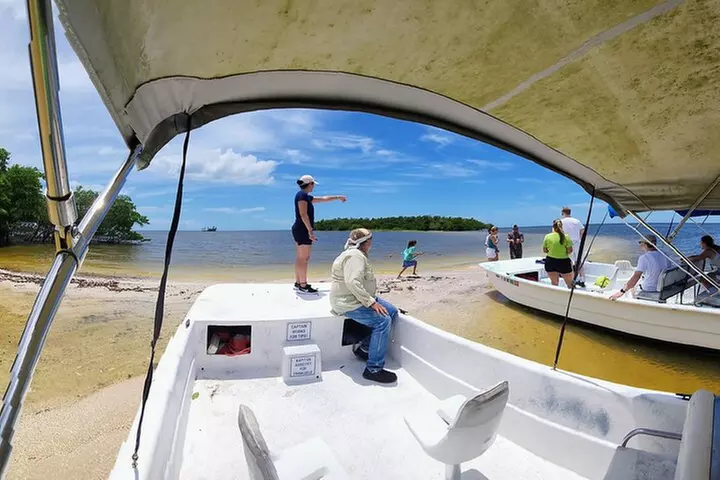 Everglades National Park Biologist Led Adventure: Cruise, Hike + Ai...