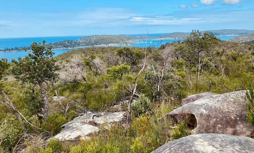 Image 14: Sydney: Ku-ring-gai Chase National Park with Hike, Swim, Picnic