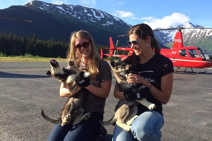 Summer Glacier Dogsledding Tour from Girdwood