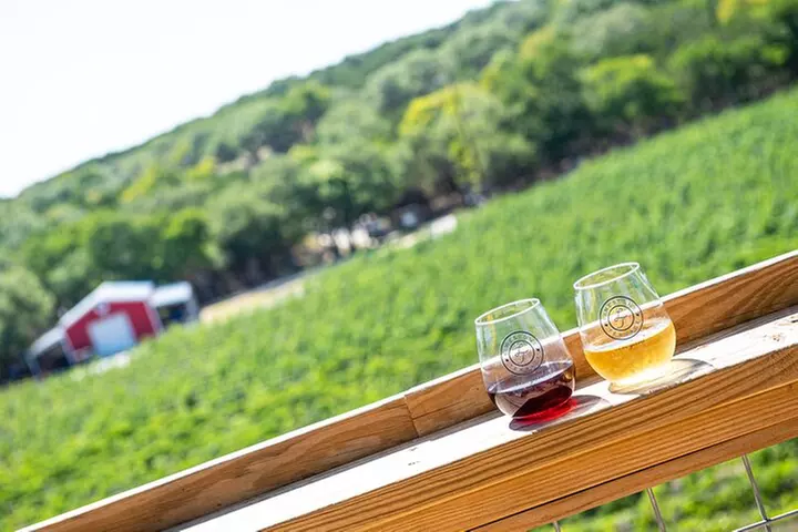 Half-Day Hill Country Wine Shuttle From Austin