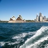 Image 3: Showcase Sydney with Photographer + Harbour Cruise Full Day Tour