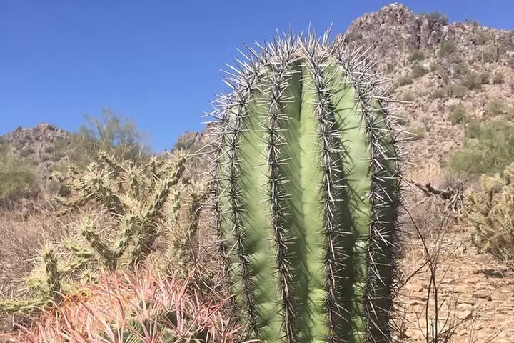Amazing 2-Hour Guided Hiking Adventure in Phoenix, Arizona