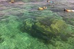 Coral Reef Private Snorkel tour out to John Pennekamp Coral Reef State Park - Second Medium