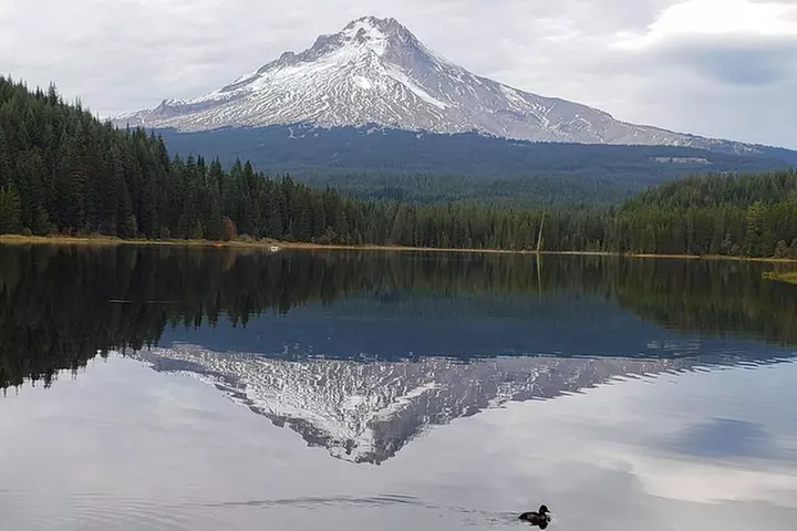 Mt. Hood Loop Tour from Portland