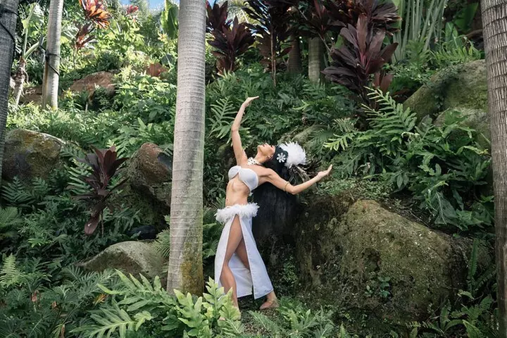 Wailele Luau Including Fire and Knife Performance Plus Dinner