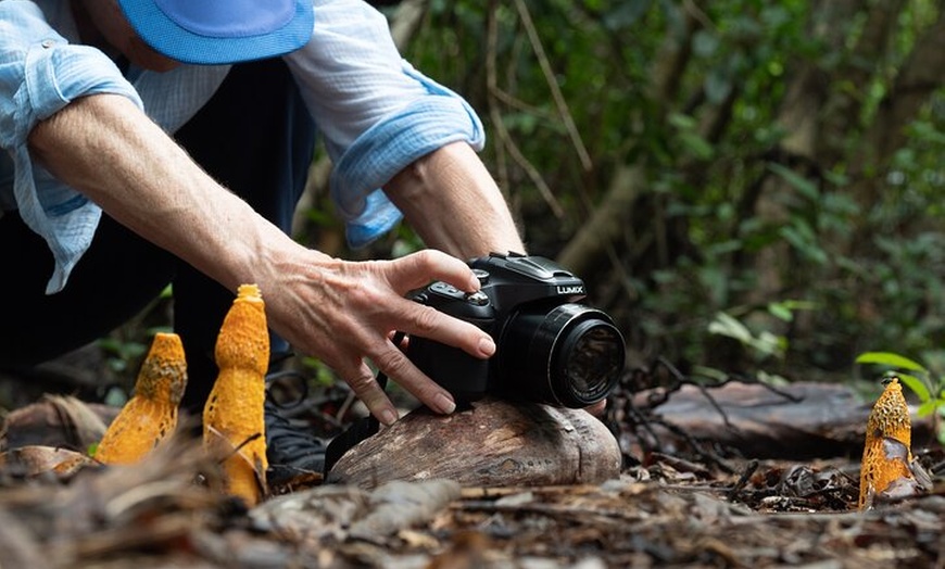 Image 15: 2-Hour Mushroom Photography Activity in Cairns Botanic Gardens