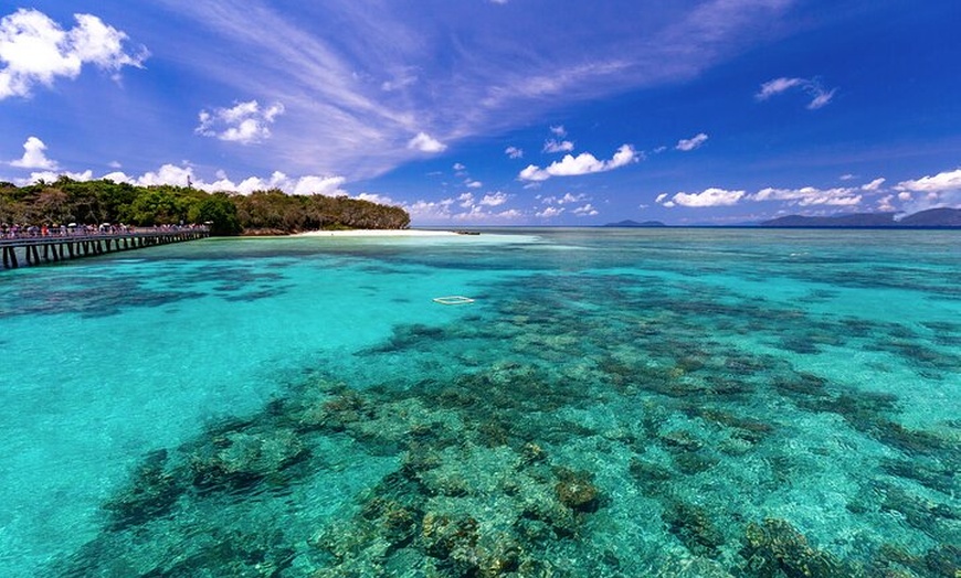 Image 7: Snorkelling or Glass Bottom Boat at Green Island from Cairns