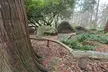 Nature Walks in Pacific - Second Medium