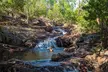 Litchfield National Park Waterfalls & Wildlife Adventure Tour - Image 3