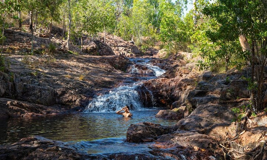 Image 3: Litchfield National Park Waterfalls and Wildlife Tour from Darwin