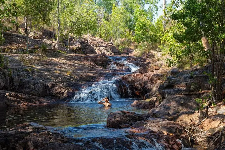 Litchfield National Park Waterfalls & Wildlife Adventure Tour