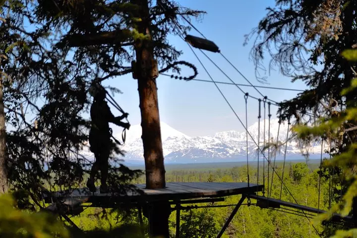 Denali Zipline Tour in Talkeetna, AK