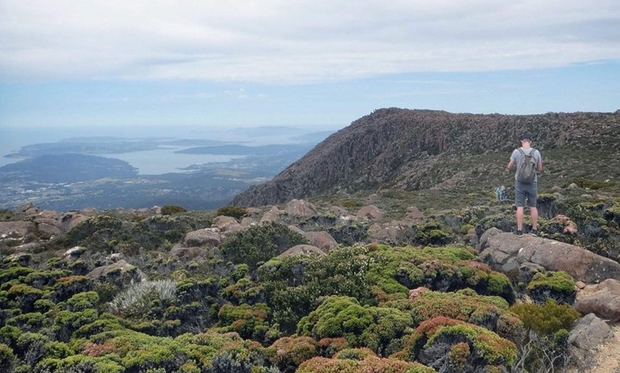 Image 4: kunanyi/Mt Wellington Explorer Bus- Return Tour (2.5 hours)